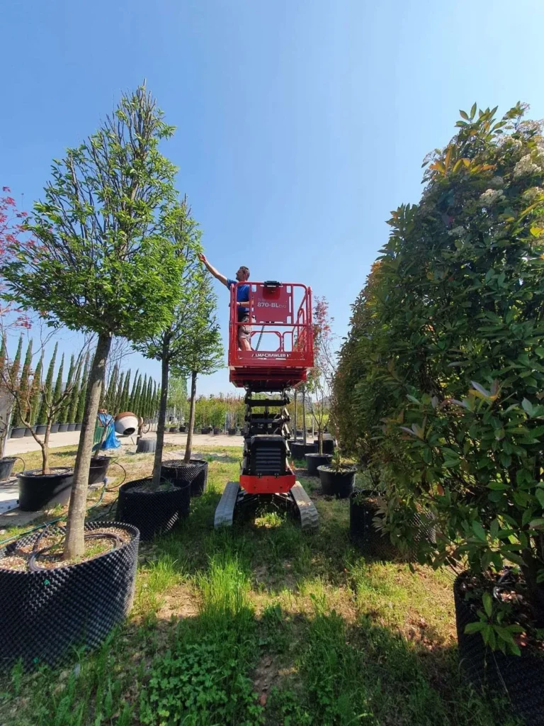 Almac Athena 870 BL EVO tracked scissor lift working on an outdoor site, available for hire from Equip Hire in Sydney.